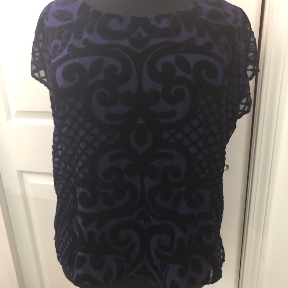 See through and velvet blouse